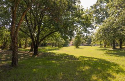 Residence Scopa Marina - Foto 65