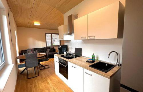 Studio Tiengen - zentraler Neubau - Barrierefrei im Erdgeschoss - Foto 10