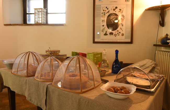 Bio Agriturismo La Cerqua - Foto 91