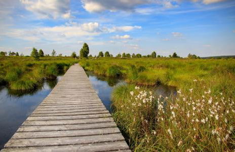Ferienwohnung am Eifelsteig - Foto 37