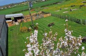 Osprey Meadow Holiday Cottages - Foto 48