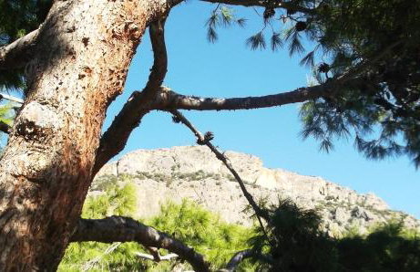 Villa Kalliopi - Foto 66