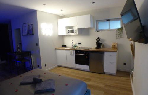 Appartement balnéothérapie et sauna hyper centre - Foto 17