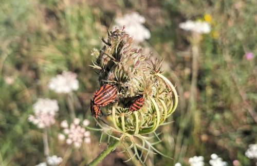 Gîte des Graves de Lilou - Foto 66