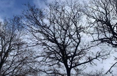 House in Seggio, peace in the green heart of Umbria - Foto 14