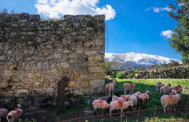 Glikanisos House Nipos - Ideal for Hikers and Families 2bd, 6pl, 10min to Beach - Foto 35