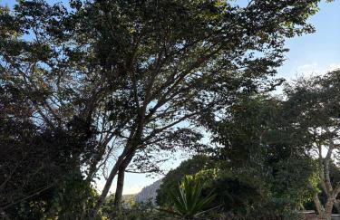 Casa de roça - Foto 56