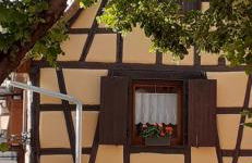 Coup de cœur en Alsace ! Idéal visites, randonnées au Gîte de la Muse, proche Colmar - Foto 9