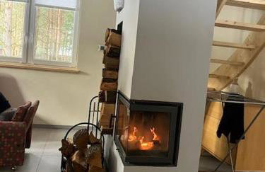 Domek Zielona Sowa - Foto 38