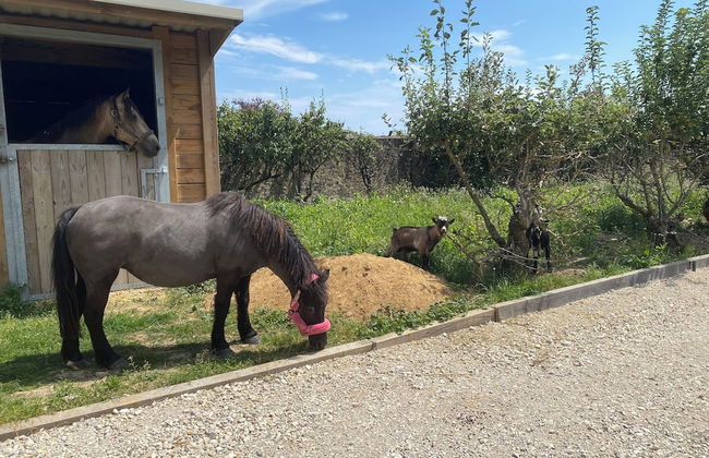 Le Relais des Calèches - Foto 29