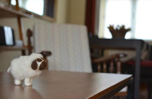 Las diez ovejas alojamiento rural - Foto 22