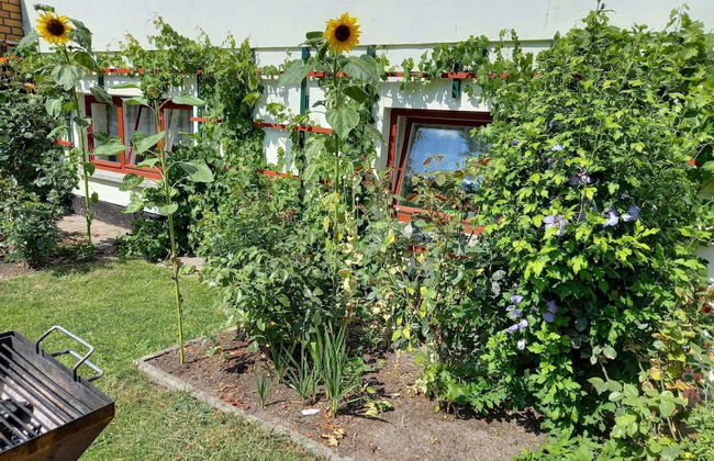 Wohnung in Alt Bukow mit Garten - Foto 32