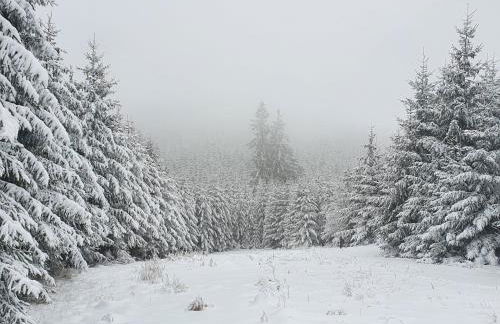 Ferienhaus Junge Ruhr - Foto 20
