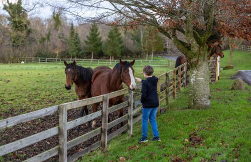 Sun Hill Palins - Photo 14