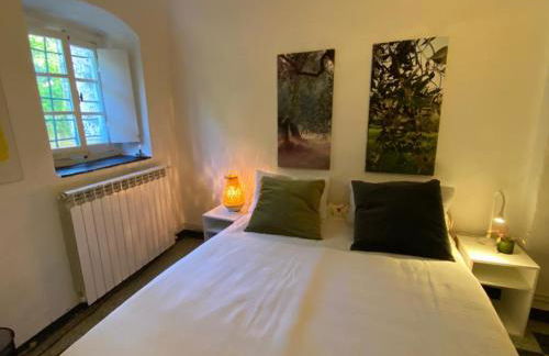 Ligurisches Rustico, umgeben von Olivenhainen am Dorfrand - Foto 14