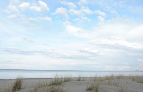 Ferienhaus Rubin mit Sauna und Kamin, Reetdachhaus am Walde - Foto 15