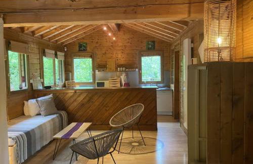 Lodge en pleine foret domaniale - Foto 5