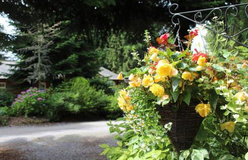 Grand Fir Lodge - Foto 14