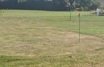 LES RONCES - Photo 23