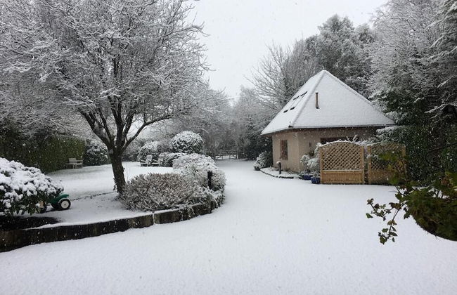 The Lodge - Photo 35