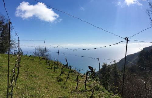 La Libraia - Foto 25