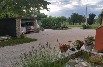 Apartments Davor - Photo 19