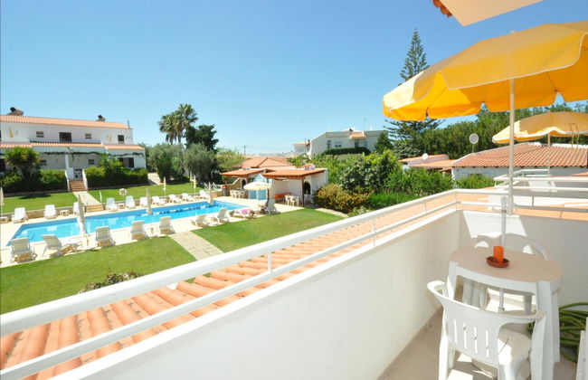 Flor da Laranja - Foto 52