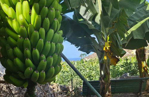 Casa Erika - Foto 26