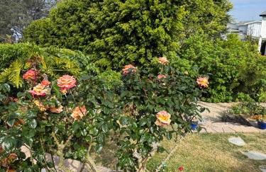 Guesthouse in Coastal Del Mar, California - Foto 2