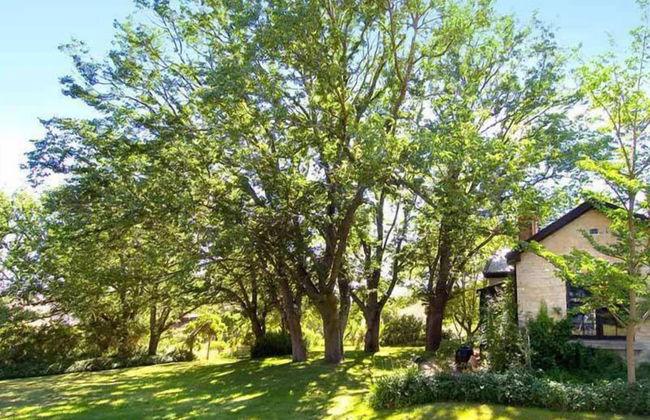 Taradale House Estate - Foto 64