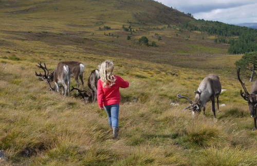 Drumguish Cottage - Foto 60