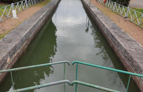 PETIT MAS COSY DU BORD DE LOIRE a 15 MM DU PARC LE PAL - Foto 41