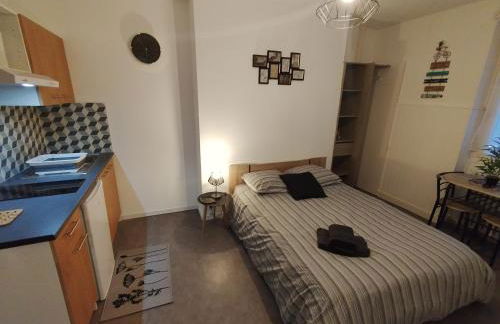 résidence bregeroise 5 - Foto 1