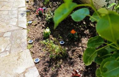 The house in nature SKG - Foto 19