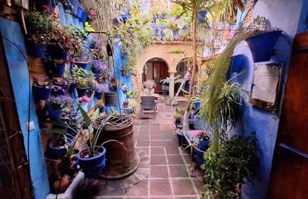 El patio azul Bohemio Mágico - Foto 29