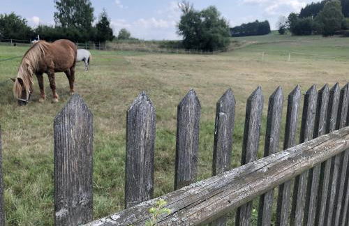Ferienwohnung Landidyll - Foto 7