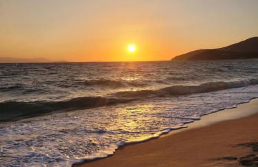 ButterflyHouse - Foto 41