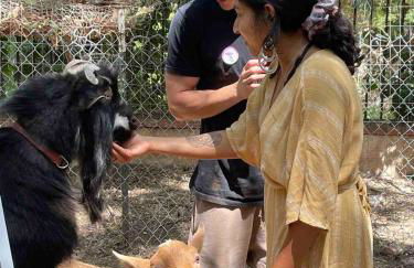 Vintage RV Creekside Nature Retreat near Ojai next to Swim Holes Hike - Foto 51