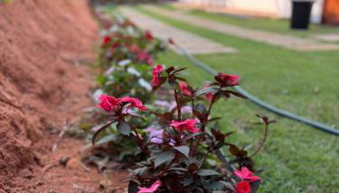 Sítio João de Barro - Foto 4