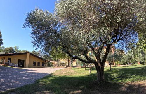 Agriturismo Gardenali - Foto 48