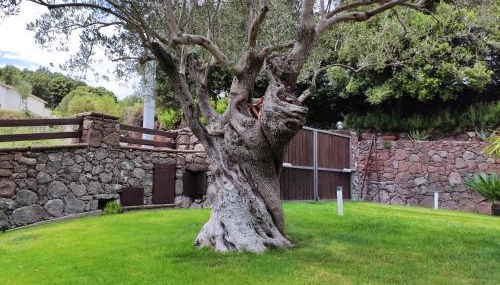 Casa Bados - Photo 5, Garden