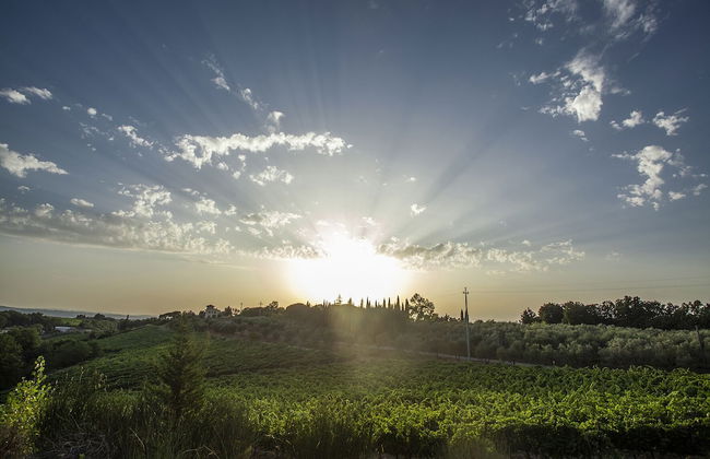 Tenuta Moriano - Foto 63
