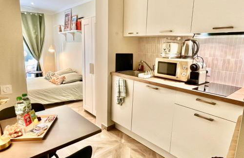 Le Petit Nice - 2 Studios & 2 Studios Terrasse - Foto 41