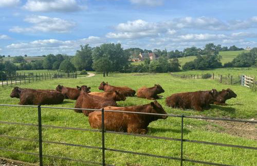 Weatherhead Farm - Foto 3