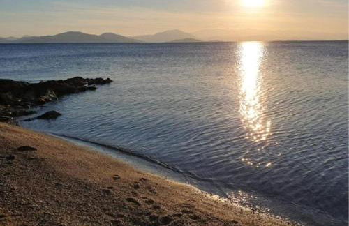 Olive Grove House - Foto 50