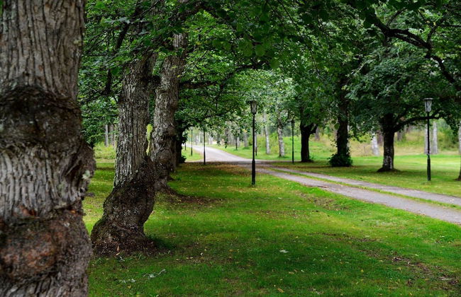 Risberg Herrgård - Photo 14