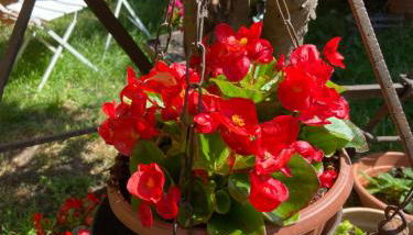 Tuscany Location - Foto 4