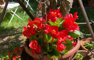 Tuscany Location - Foto 4