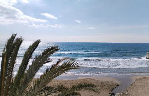 Port Alegre Mar - Foto 9