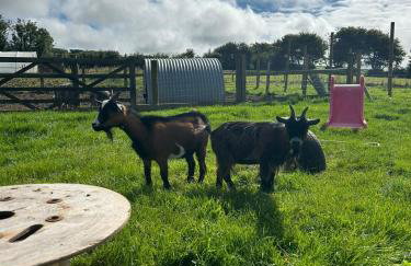 Sandy Cove Cottage - Foto 68